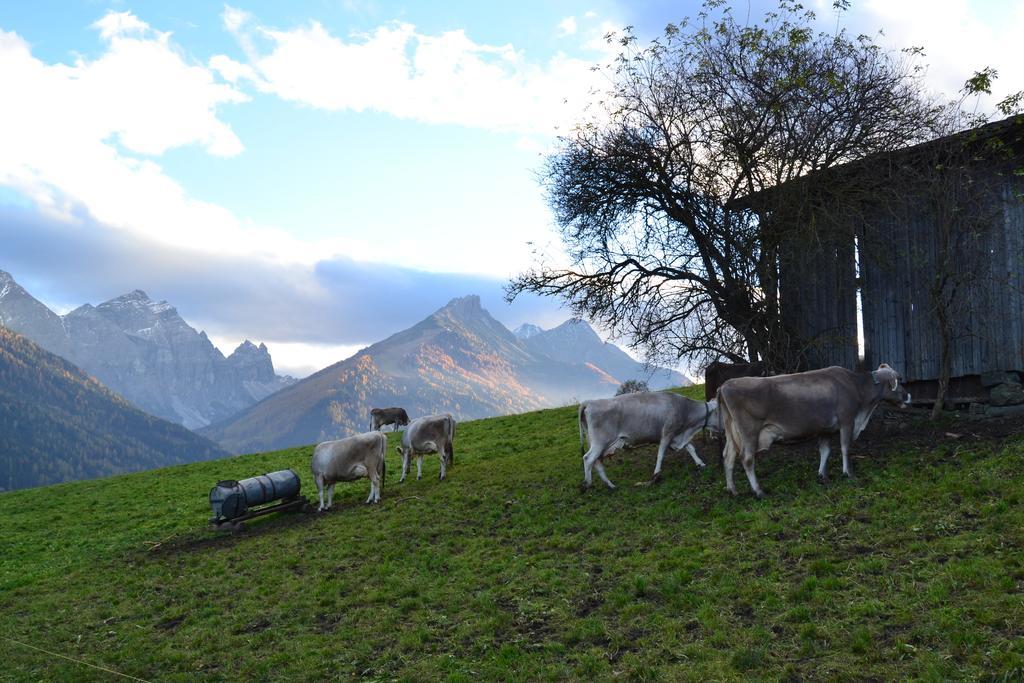Apartamento Haus Marco Neustift im Stubaital Exterior foto